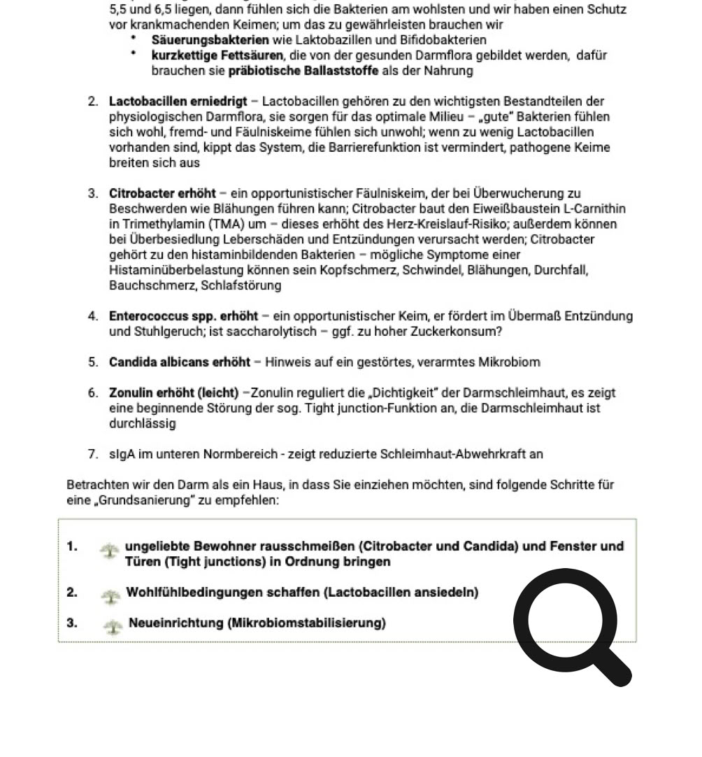 Auswertung Seite 1